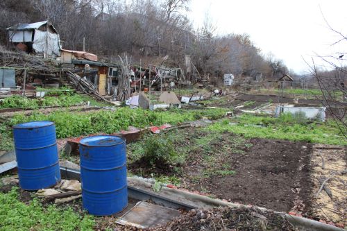 В Елабуге на месте стихийных огородов появится ландшафтный парк