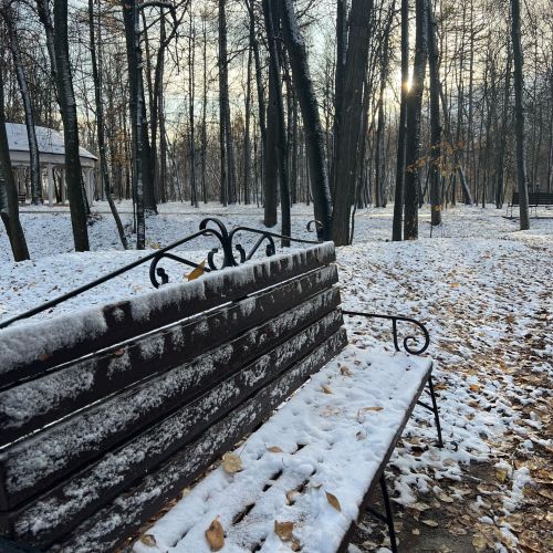 В Татарстане сохраняется аномально тёплая погода для начала декабря