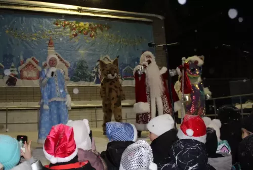 В Елабуге открыли новогоднюю елку на улице Марджани