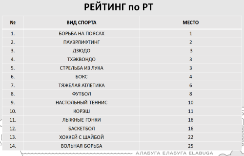 Названы пять видов спорта, в которых елабужане лидируют в Татарстане