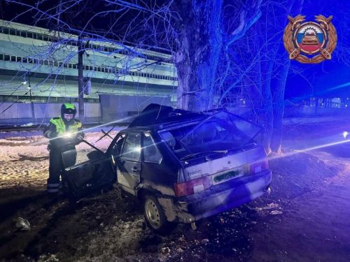 В Татарстане водитель погиб, врезавшись в дерево