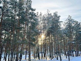 Народные приметы на 12 марта 2025 года: день Прокопа Перезимнего