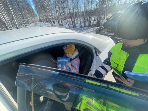 В Елабуге прошла акция «Ребёнок — главный пассажир!»