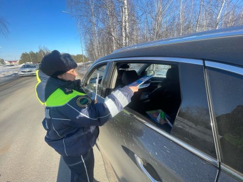 В Елабуге прошла акция «Ребёнок — главный пассажир!»