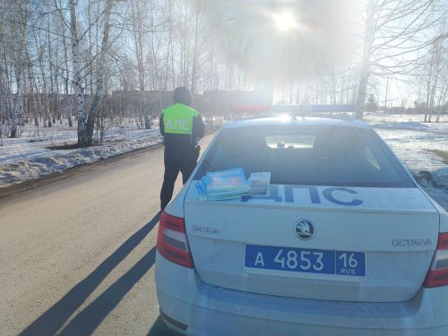В Елабуге прошла акция «Ребёнок — главный пассажир!»