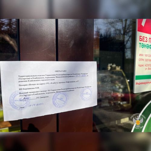 В Елабуге закрыли пекарню после случаев кишечной инфекции у покупателей