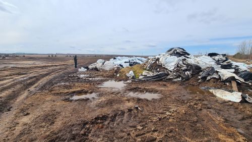В Елабужском районе прошли экологические рейды