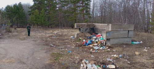 В Елабужском районе прошли экологические рейды