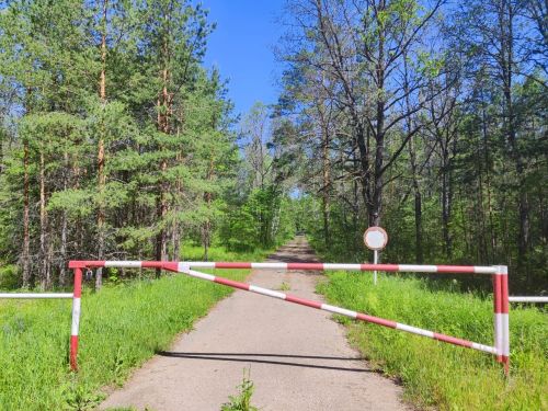 Штормовое предупреждение: в Татарстане объявлена высокая пожарная опасность лесов