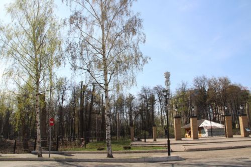 Более 600 новых деревьев появятся в Александровском саду Елабуги