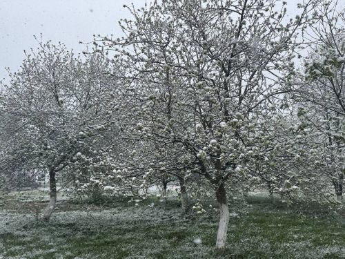 Синоптики рассказали, какая погода ждет Татарстан в ближайшие дни