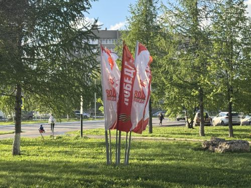 В Татарстане утвержден список предметов, запрещенных на мероприятиях к 80-летию Победы