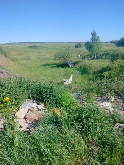 В Елабуге ликвидировали 99 стихийных свалок в рамках санитарно-экологического двухмесячника