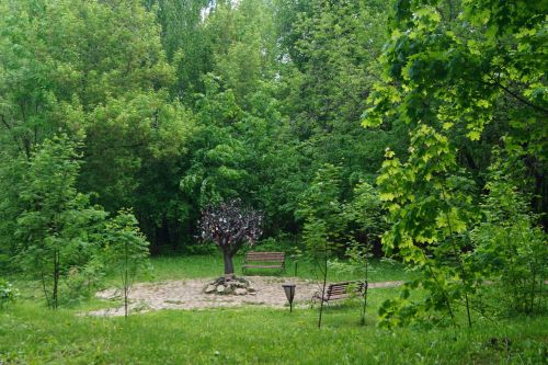 8 июня – День Карпа-Карполова: удачная рыбалка, приметы и запреты