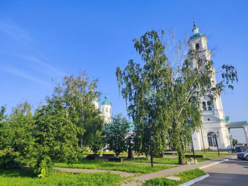 Народные приметы на 22 июля: что можно и нельзя делать в день Власия Пшеничника