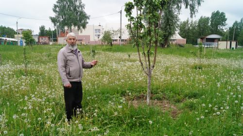 В Елабуге произошла кража поливальных шлангов у народного садовода Али Амирова