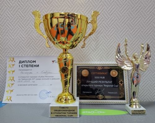 Юные тхэквондисты Елабуги завоевали «Кубок региона»