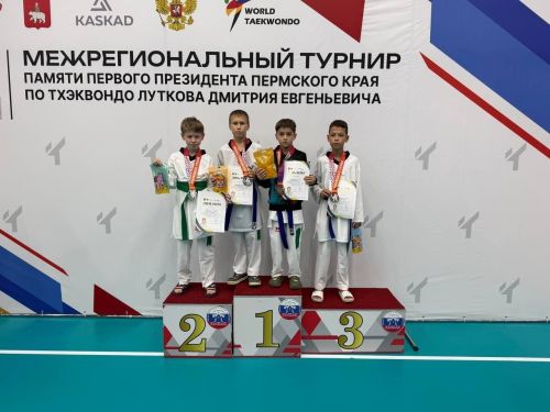 Юные елабужские тхэквондисты взяли шесть медалей на турнире в Перми