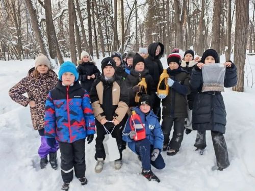 Птицы зимой в Елабуге: как в городе помогают пернатым и чем их правильно кормить