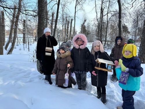 Птицы зимой в Елабуге: как в городе помогают пернатым и чем их правильно кормить