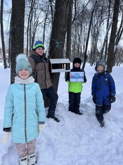 Птицы зимой в Елабуге: как в городе помогают пернатым и чем их правильно кормить