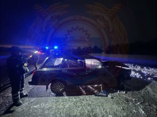 В Альметьевском районе 60-летний водитель погиб в ДТП после наезда на телёнка