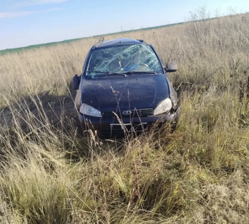 В Елабужском районе женщина пострадала при съезде автомобиля в кювет