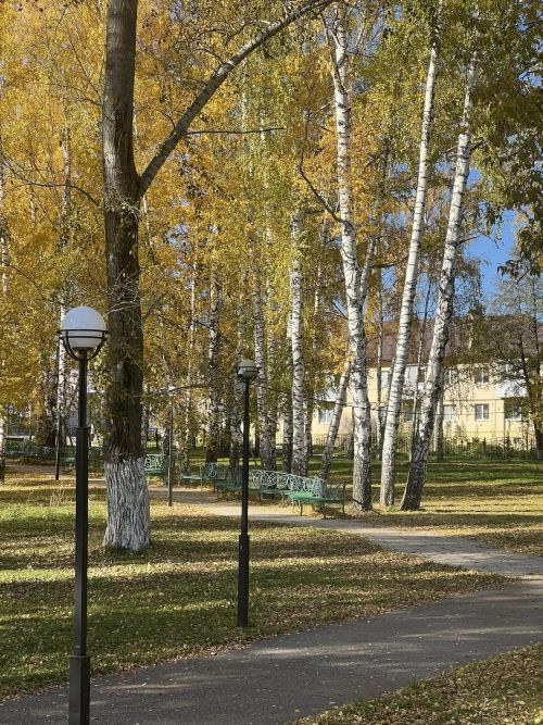 Синоптики рассказали, сколько продержится необычное тепло в Татарстане