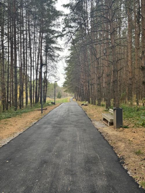 В Георгиевском парке Елабуги заасфальтировали прогулочные дорожки