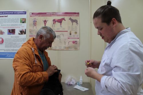 Бесплатная вакцинация животных в Елабуге: ветеринары приступили к подворному обходу