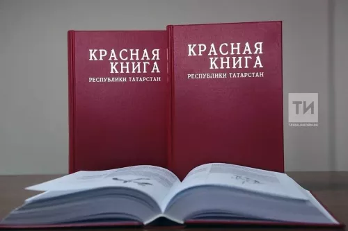 Беренче тапкыр ике телдә: Татарстанда Кызыл китапның яңартылган басмасы чыкты