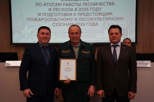 В Елабуге подвели итоги работы лесного хозяйства за 2025 год
