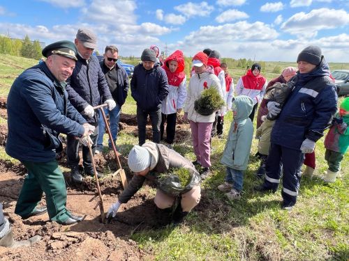 Татарстанда «Хәтер бакчасы» халыкара акциясенә әзерлек бара