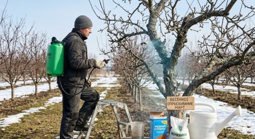 Весенняя обработка сада в Елабуге: когда и чем опрыскивать деревья от болезней и вредителей