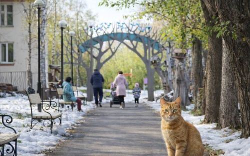 Гидрометцентр РТ рассказал, когда растает снег в Татарстане