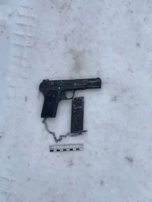 В Елабужском районе у нижекамца изъяли пистолет ТТ, патроны и предмет, похожий на гранату
