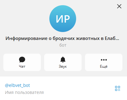 В Елабуге запустили телеграм-бота для оперативного отлова бродячих собак