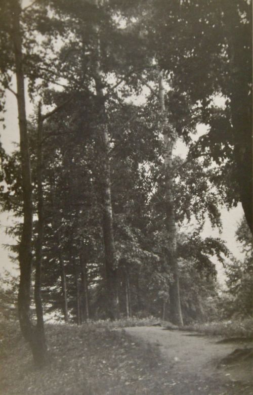 Александровский сад в Елабуге: история старейшего парка города