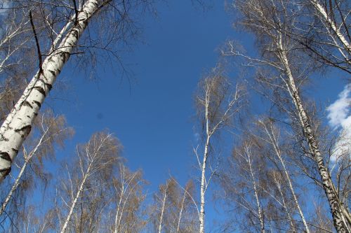 От гроз и +22 до ночных заморозков: погодные качели ждут Татарстан