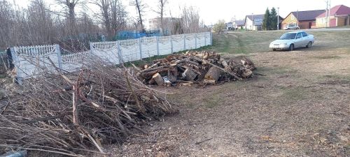 На Старом татарском кладбище Елабуги возобновились работы: требуется 100 тысяч рублей