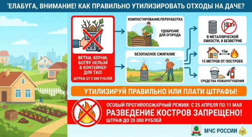 Елабужанам напомнили правила утилизации растительных отходов