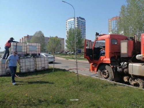 Круглосуточный капельный полив обеспечит водой городские растения и деревья в Елабуге