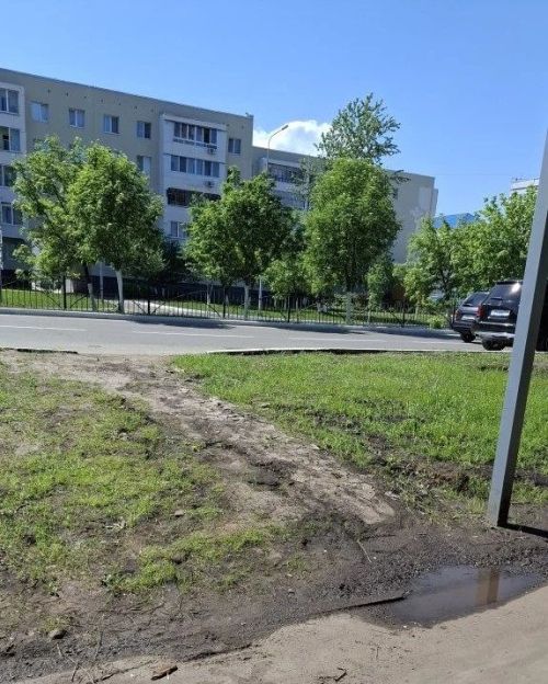 В Елабуге на обновленных улицах начали вытаптывать газоны