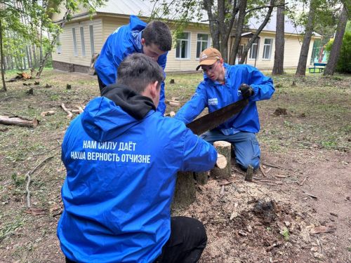 Студенты Елабужского политехнического колледжа помогли заготовить дрова