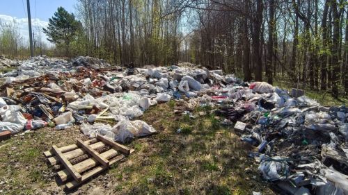 В Елабуге выявили свалку площадью 4 тысячи квадратных метров