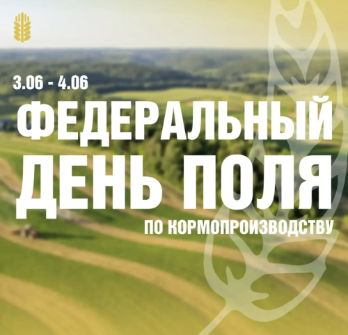 В Мензелинском районе пройдет Федеральный День поля по кормопроизводству