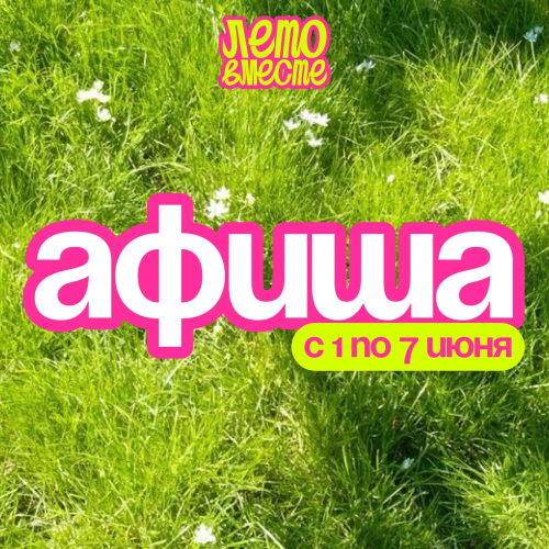 В Елабуге стартует проект «Лето вместе»