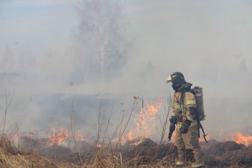 В Елабужском районе предпринимателя оштрафовали на 60 тысяч рублей за сжигание мусора