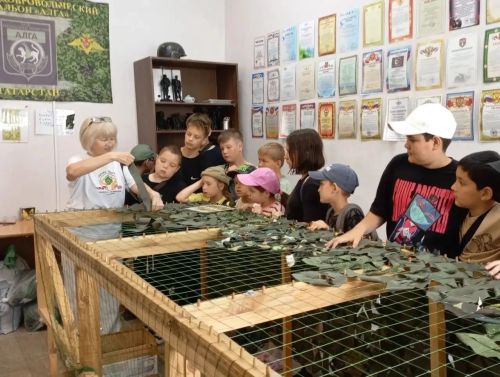 Гимназисты Елабуги познакомились с работой штаба «Дома ждут»