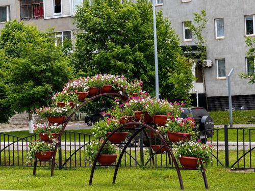 Бу җәйдә Алабугада һәм авыл җирлекләрендә 36 меңгә якын чәчәк утыртылачак
